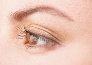 ライブチャットの仕事をするなら天神プレミアム店で